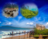 Srilanka Tour Package