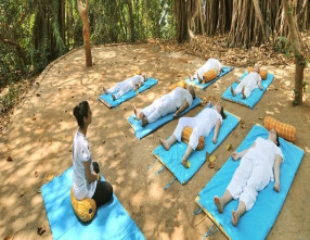 Nature and Ayurveda Wellness Tour