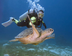 Scuba Diving Tour in Goa