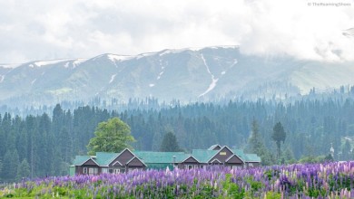 Wellness Tourism in India