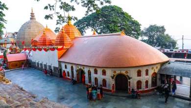 Details of Kamakhya Temple and Maa Kamakhya Devi Tour Guide