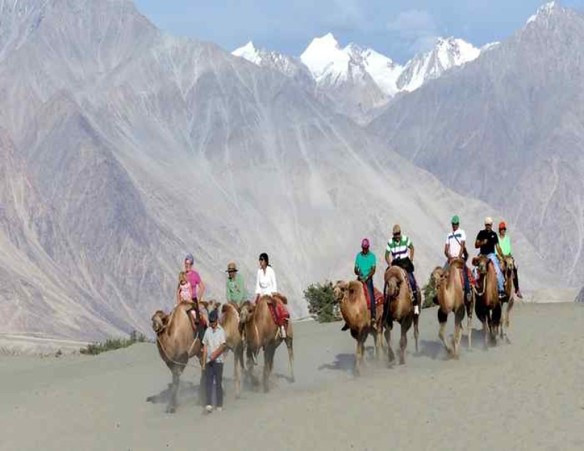 Amazing Ladakh Family Group Tour
