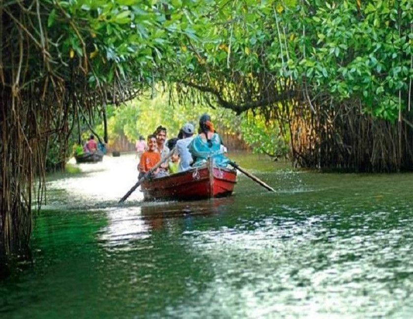 Chidambaram Mangrove Forest with Pondicherry Tour