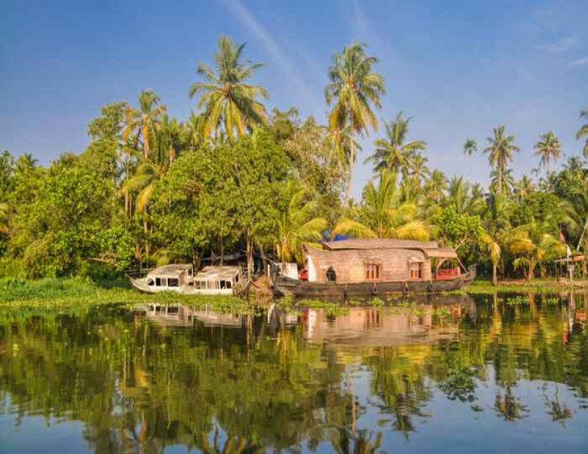 Cochin Thekkady Alleppey Tour