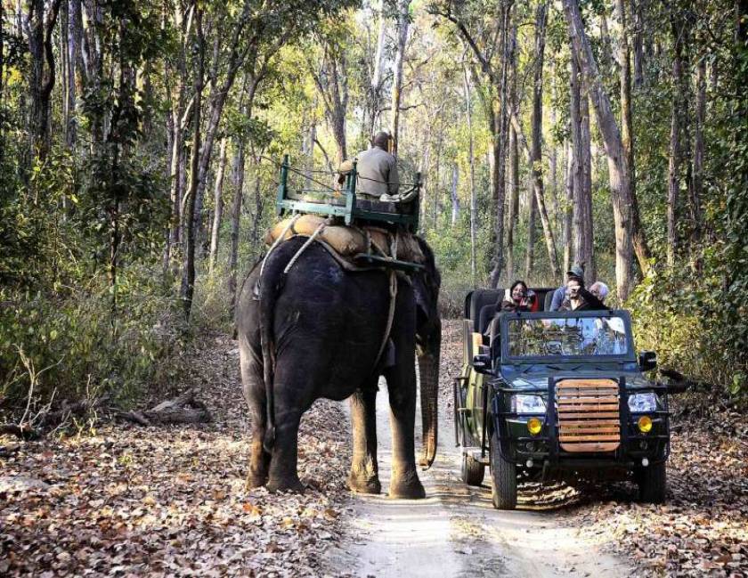 Madhya Pradesh Golden Triangle Tour Package
