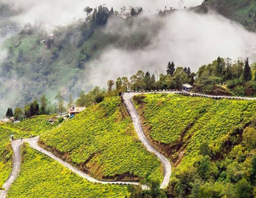 Hills of East Tour from Bagdogra