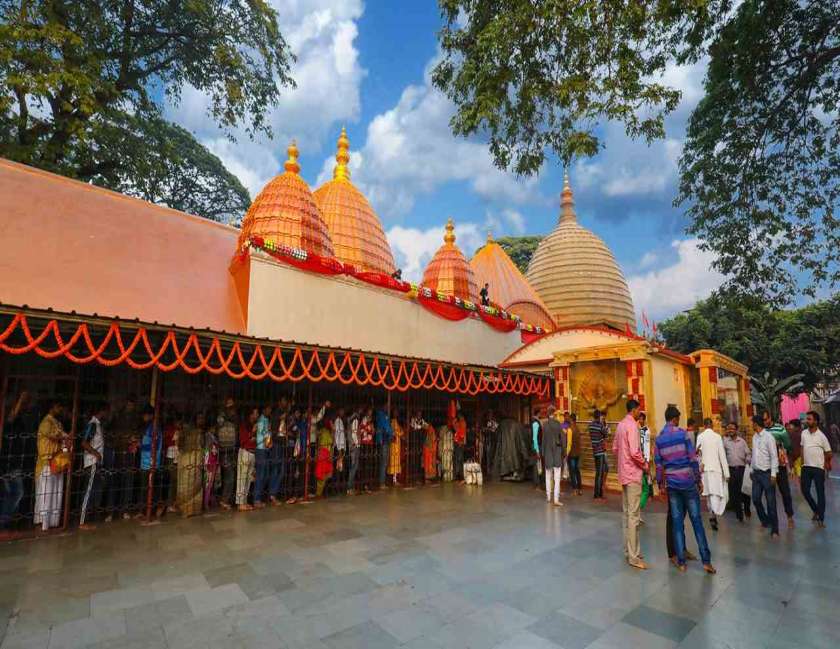Assam Pobitira Wildlife Sanctuary Kamakhya Temple Tour