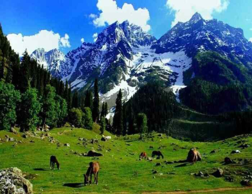 Beautiful Valley Tour of Kashmir
