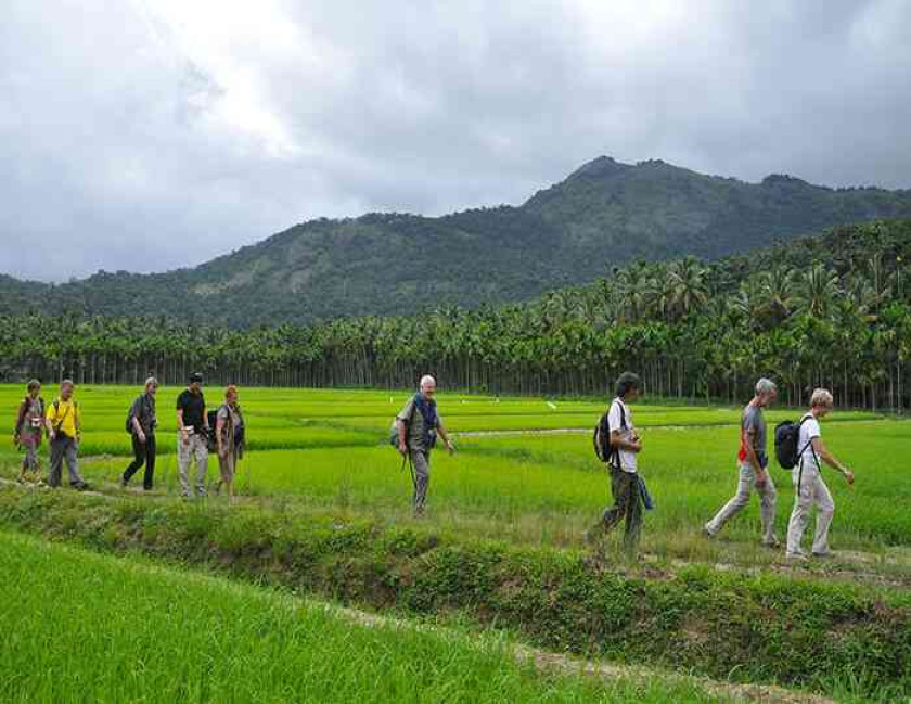 Kerala Village Experience Tour