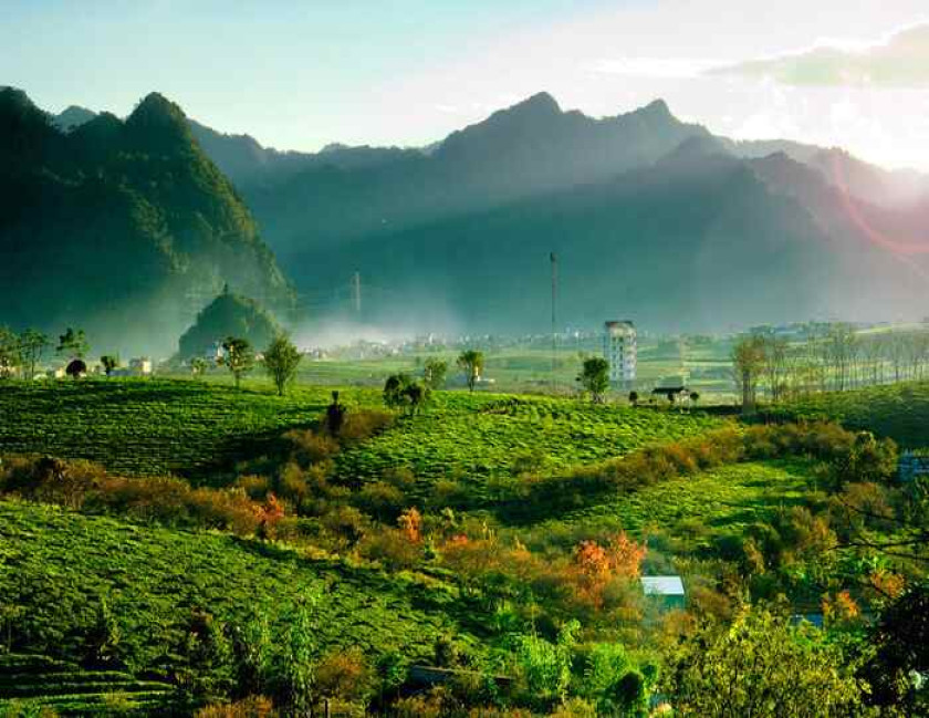 Kochi Munnar Thekkady Alleppey Tour
