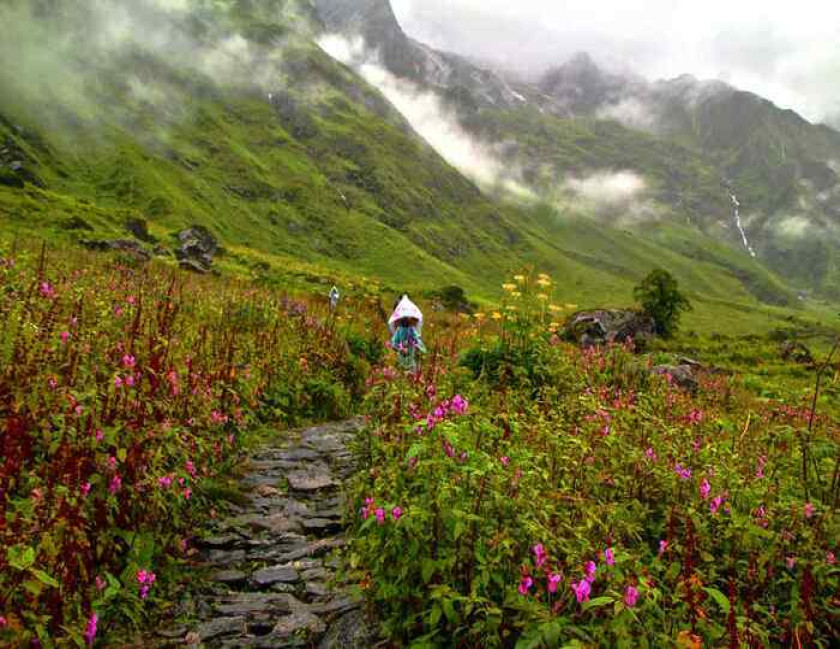 Nubra Valley of Flowers Tour