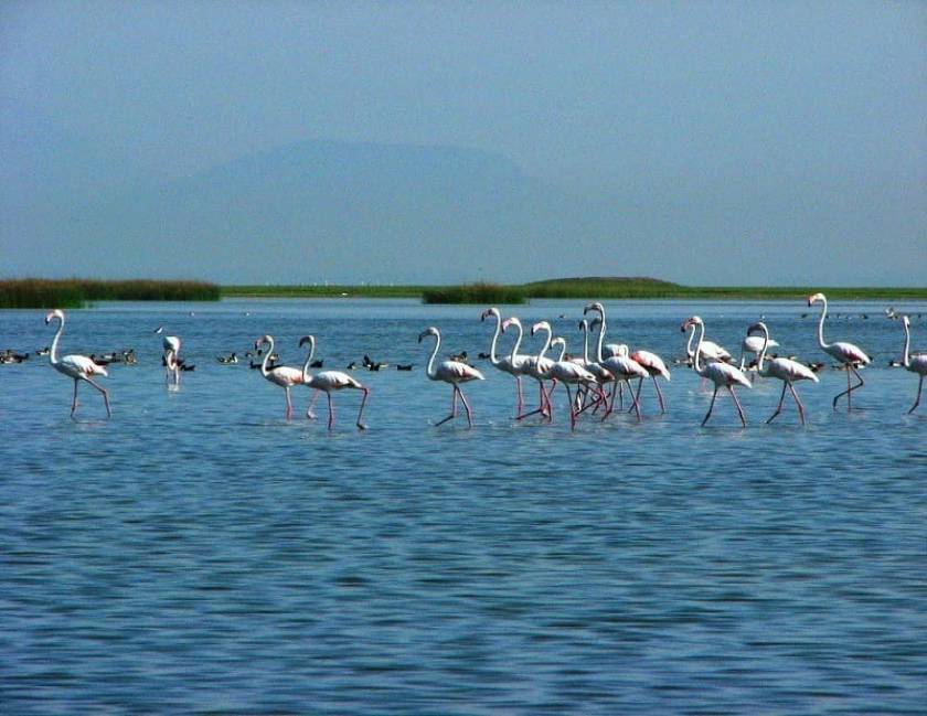 Puri Chilika Debrigarh Wildlife Tour