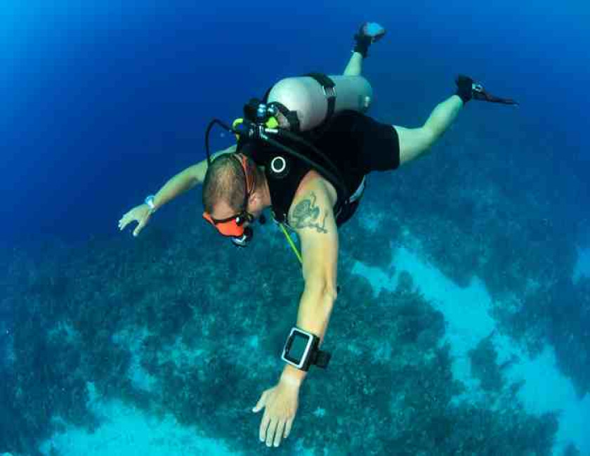 Scuba Diving in Goa
