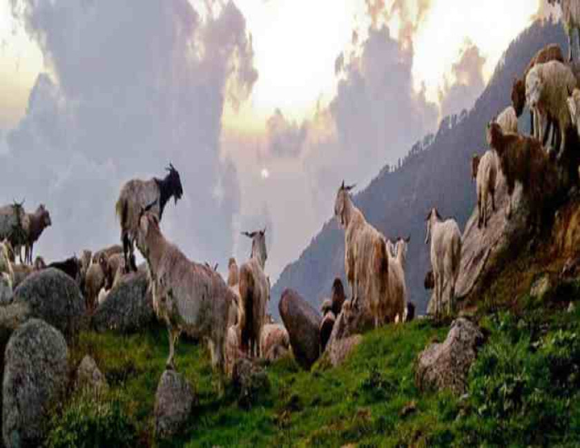 Shimla Manali Tour From Delhi