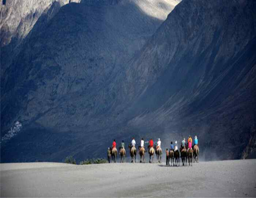 Silk Route Tour Ladakh