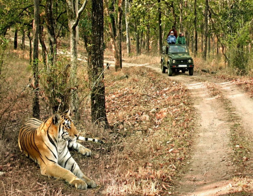 Temples & Wildlife Tour from Delhi