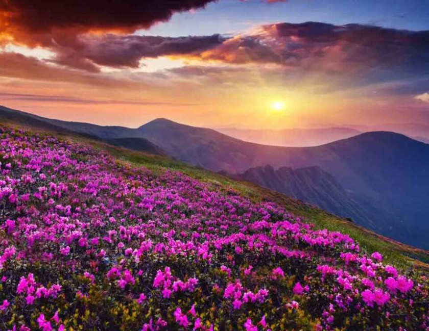 Valley of Flowers Trek with Hemkund Sahib