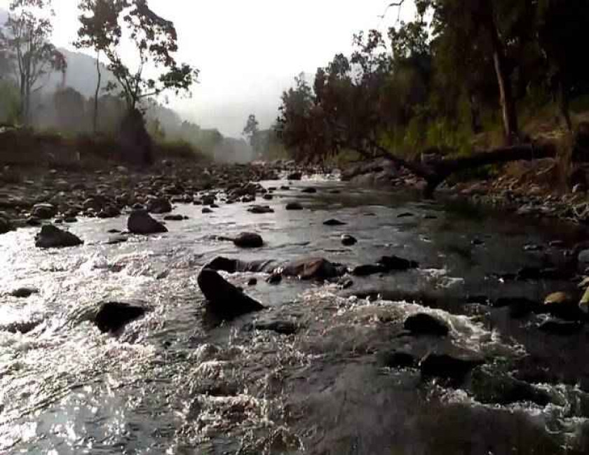Wild Treasure Satkosia Tour